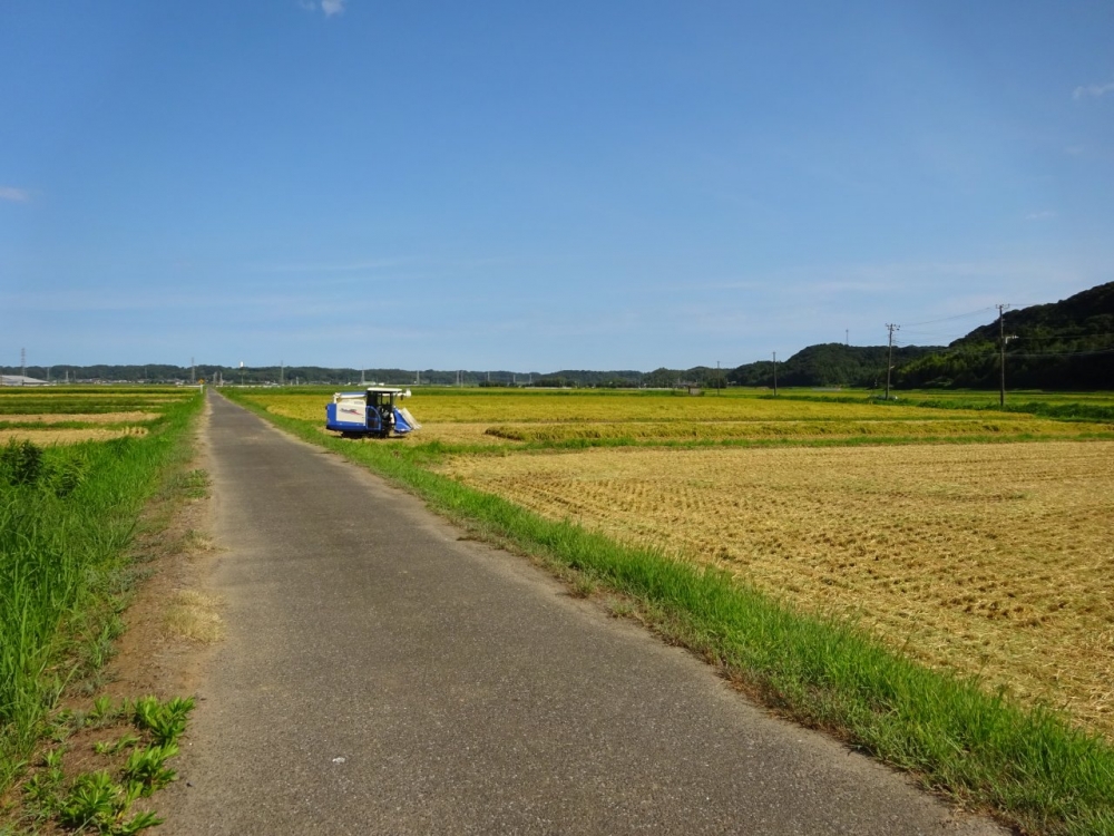 DSC02933